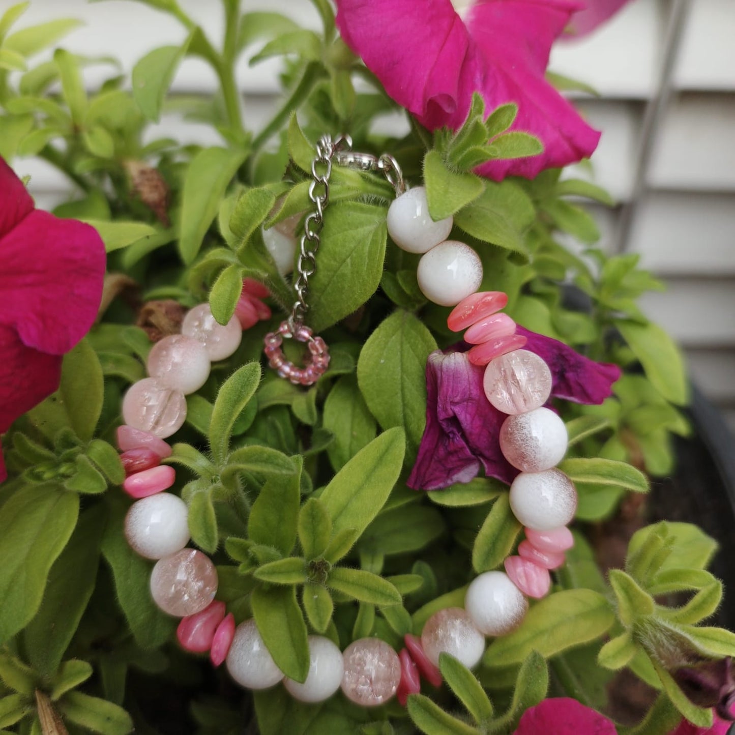 Blush Bloom